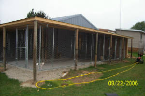 builtaroofonthekennelsoutside.jpg
