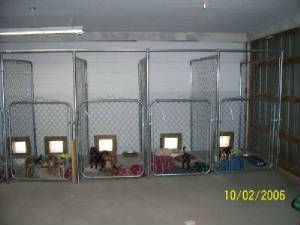 insidekennels.jpg