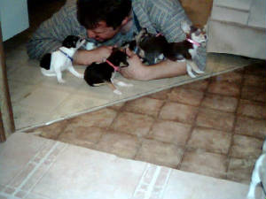 newpicsofbabiesplaying.jpg