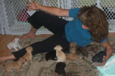 amywithpuppiesawwwww.jpg