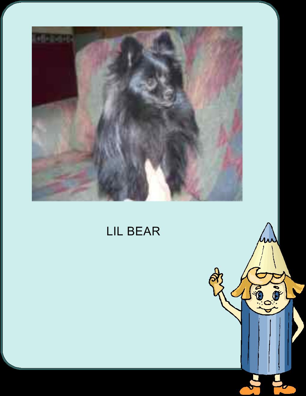 lilbearpom.jpg