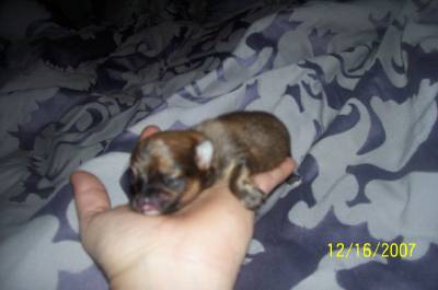 miracleat10daysold.jpg