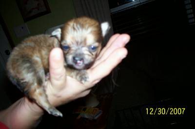 miracleat23daysold.jpg