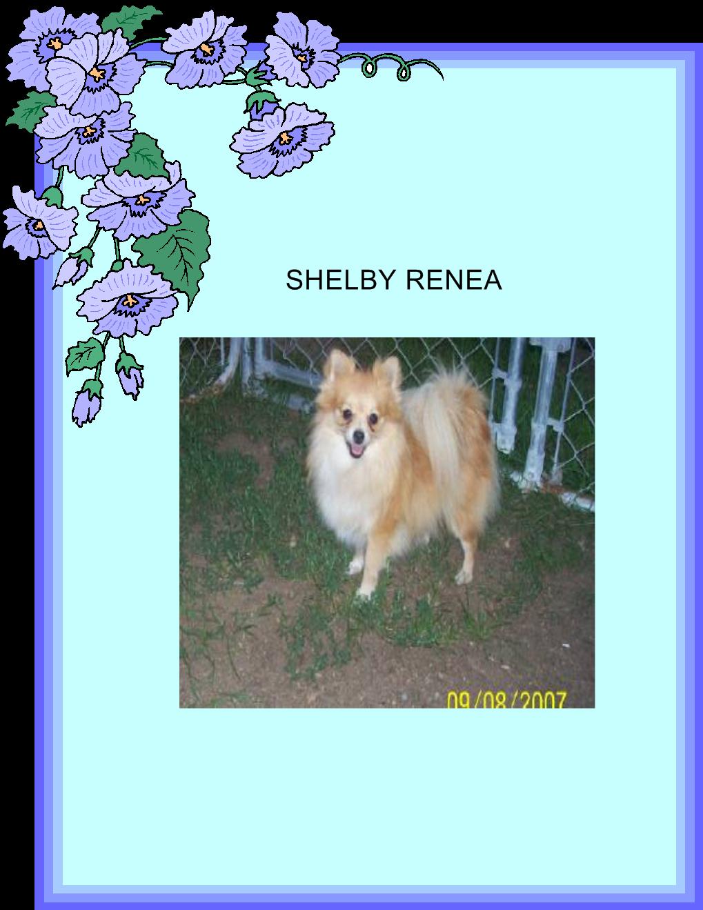 shelbyrenea.jpg
