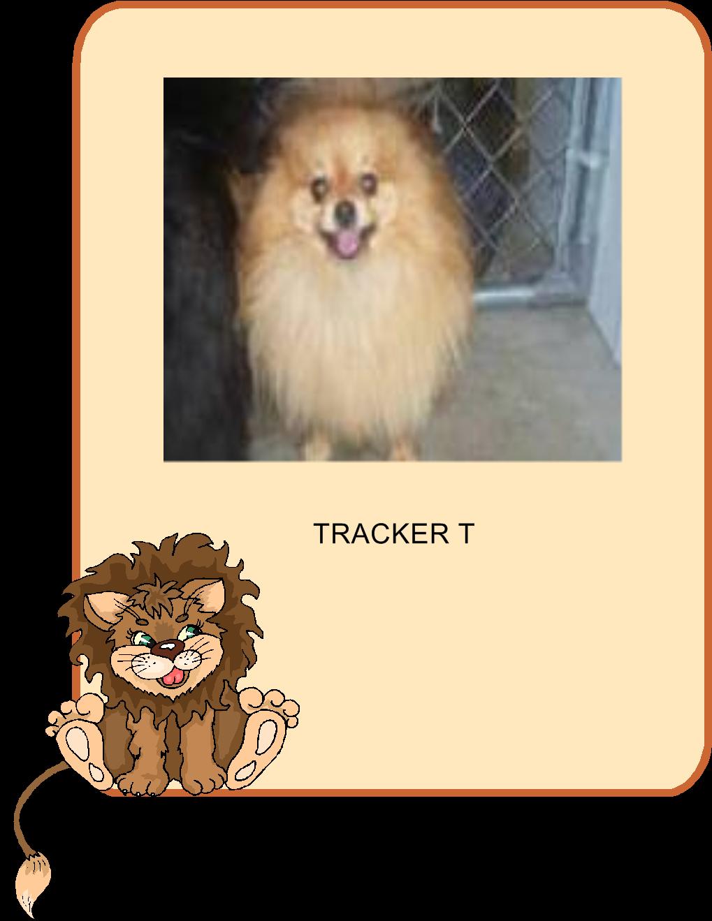 trackert.jpg